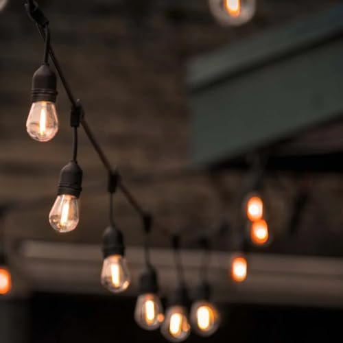 Luccika Lichterkette 5 Meter mit 10 transparenten Birnen S14 LED warmweiß Vintage mit schwarzem Kabel verlängerbare Lichterkette für Außen und Innen IP44 (31V mit Trafo)