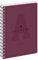 Interdruk ACADEMY Cahier à carreaux Format B5 (17 x 22 cm) Couverture en plastique et 3 intercalaires à onglets Reliure spirale 200 pages Papier 90 g/m² Qualité supérieure Super lisse Coins arrondis