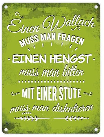 Metallschild mit Reiter Motiv und Spruch: Wallach muss man fragen, Hengst bitten, mit einer Stute diskutieren