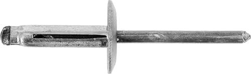 Restagraf - Rivet Expansé Tête Large Aluminium - Compatible avec Citroën, Fiat, Mitsubishi, Nissan, Opel, Peugeot, Renault, Smart - Diamètre 4,8 mm - Longueur 20,5 mm - Réf. 12091 - Sachet de 20