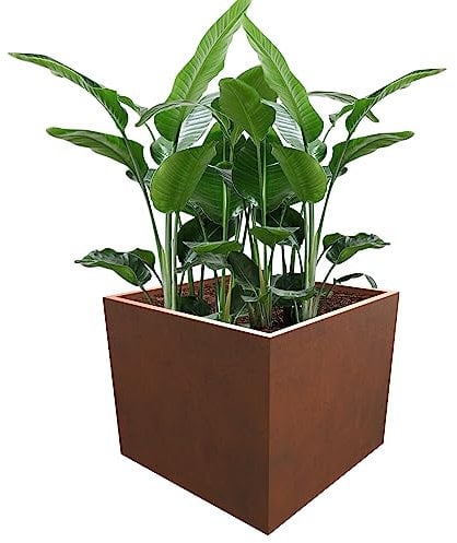Elevens Corten Stahl-Pflanzkasten, große Pflanzgefäße für Outdoor-Pflanzen, hoher Pflanzkasten, Garten, Stahl-Pflanztopf für Terrasse, Deck und Hinterhof, braun, 61 x 61 x 50,8 cm