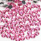 1000pcs 4mm Flat Back Non-Stick Rhinestone Crystal Diamantes Nail Art & Craft Scrapbooking Embellishments 90 Available Colours (4mm, Hot Pink #10)