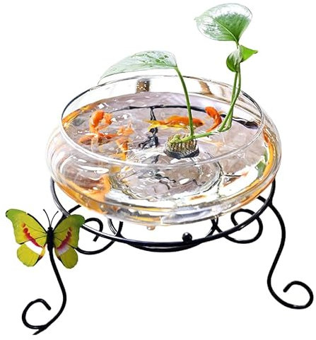 Macetas, maceta de loto, cuenco redondo para flores de loto, cuenco de lirio de agua transparente, cuenco de vidrio decorativo para flores, suculentas, plantas hidropónicas, peces, decoración del