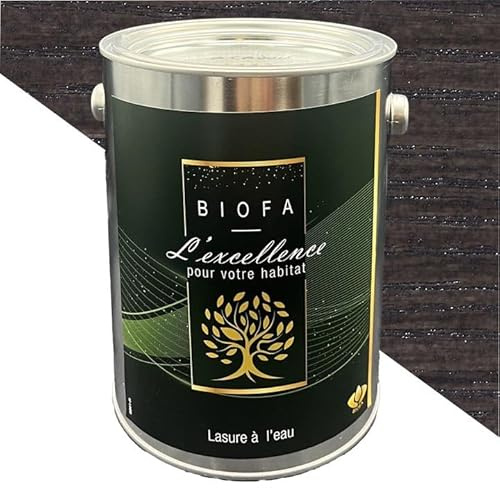 Lasure à l'eau Biofa 10L - pour bois intérieur et extérieur - Faible en COV (Anthracite)