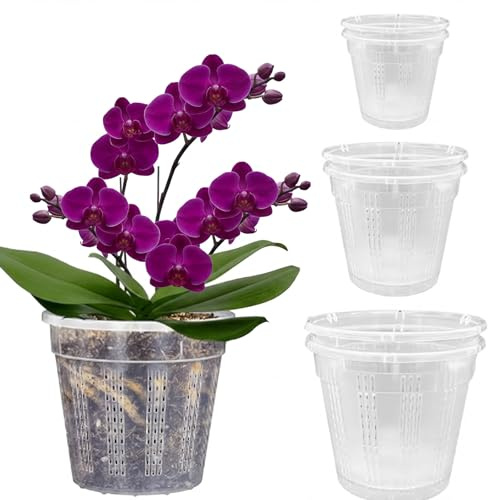 Bamworld 6 Vasi Trasparenti per Orchidee 15,5/14/10,9 cm - Vasi Plastica con Fori Drenaggio per Trapianto Piante Interno