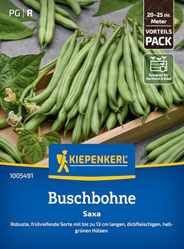 Kiepenkerl Buschbohnensamen Saxa 1005491 – Gemüsesamen für Bohnen mit bis zu 13 cm langen Hülsen und Inhalt für 20 bis 25 lfd. Meter - Saatgut, Gemüse Pflanzen