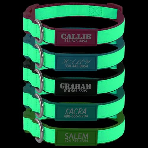 Personalized Luminous Dog Collar with Engraved Name Plate, Glow-in-the-Dark Nylon Collar, Safety Quick Release Buckle, Custom Phone Number ID Tag for Small Medium Large Dogs(UV printing)