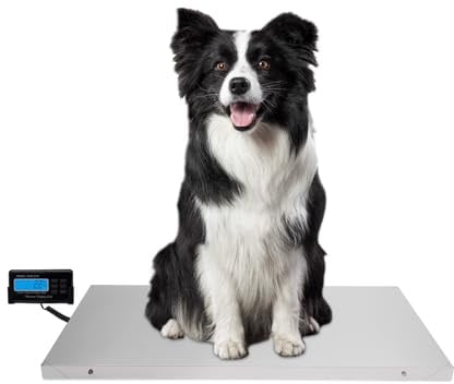 Hundewaage Bodenwaage 300KG Tierwaage Veterinärwaage Paketwaage Katzenwaage Veterinärwaage 103cmx 53cm Plattformwaage Schwerlastwaage, Externes LCD