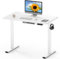 FLEXISPOT ONE PIECE Electric Standing Desk Height Adjustable Desk Sit Stand Desk with 4 Memory Smart Pannel and Backpack Hook for Home Office, 100 x 60cm White