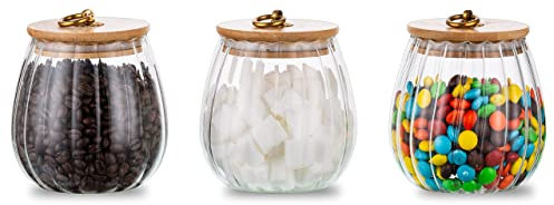 Glass Jars with Bamboo Lids and Labels Small 3Pcs 750Ml Airtight Kitchen Food Storage Jars Ribbed Tea Coffee Sugar Canisters for Preseving Herb, Bon Bon, Sweet Cookie