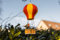 Garden Mile Novelty Hanging Wild Bird Feeder Hot Air Balloon Weatherproof with Hanging Hook Chain Lightweight Small Bird Feeder Bird Feeding Station Bird Feeders for Small Birds Garden Decorations