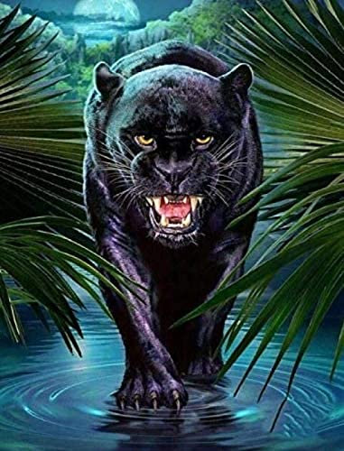 WYWQN DIY 5D Diamond Painting Kit Tier Schwarzer Panther Malen nach Zahlen Erwachsene Vollbohrer Kristall Strass Stickerei Bilder Kunsthandwerk Für Wohnkultur 30x40CM