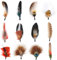 Lot de 12 plumes de paon naturelles pour chapeaux, plumes colorées pour chapeaux Fedora, cowboy, route ouverte, borges, fête de la bière, chapeaux Trilby (multicolore), taille unique, Multicolore,