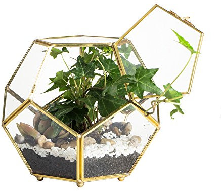 NCYP Terrario de Cristal, con Patas y Puerta. en Forma de Bola, Cerca de helechos, musgos y Plantas suculentas, Maceta para Flores, 18 x 18 x 15 cm, (sin Plantas Incluidas)