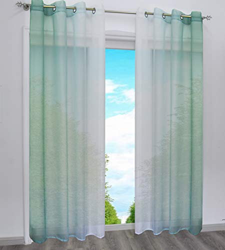 BAILEY JO 2er-Pack Gardinen mit Verlauf-Farben Muster Vorhang Transparent Voile Vorhänge mit Ösen (BxH 140x145cm, Grün)