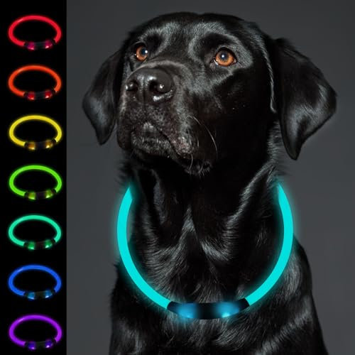 DOINEUFL Light Up Collar, Led Flashing Dog Collar - Rechargeable USB, Size-Adjustable, 3 Flash Modes - Night Walking Light