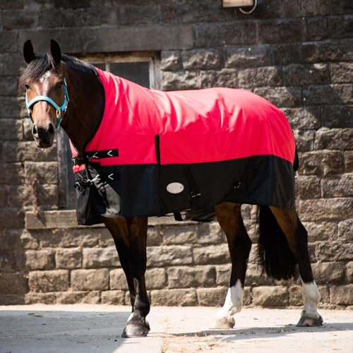 eQuitack Your Passion Is Our Mission Outdoor Winterdecke Turnout 100% Wasserdicht 1200D 200G Fulling Highneck - Navy/Raspberry 145cm