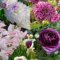 Blumenzwiebel Mischung „Lila Weißer Sommergarten“ | 23 Stück | Blumenzwiebel | Knolle | Schnittblume | Gemischt | Lila | Rosa | Weiß | 100% Blütegarantie | QFB Gardening