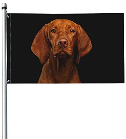 Flaggenporträt des ungarischen Vizsla-Hundes, 3 x 5 Fuß, Druck, Heimdekoration, Flagge mit Loch, 3 x 5 Fuß, Flaggendekoration, Gartenhaus-Banner für drinnen und draußen