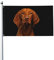 Flaggenporträt des ungarischen Vizsla-Hundes, 3 x 5 Fuß, Druck, Heimdekoration, Flagge mit Loch, 3 x 5 Fuß, Flaggendekoration, Gartenhaus-Banner für drinnen und draußen