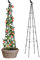 MYMULIKE Garden Obelisk, 120cm Garden Metal Trellis For Climbing Plants Outdoor, Plant Support Frame For Rose, Sweet Pea, Tomato, Fruit & Flower, Rose, Potted Plants