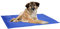Prime Paws Self Cooling Gel Pet Dog Cat Cool Mat Pad Bed Mattress Heat Relief Non-Toxic Cooling Technology to Help Your Pets Cool Down in the Summer Heat (Medium (40cm x 50cm))