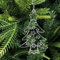 12 Stück Weihnachtsdekoration Hängende Eiszapfen Acryl Eiszapfen Anhänger Weihnachten Eiszapfen Ornamente Set Xmas Urlaub Hängende Dekorationen für Weihnachtsbaum Party Dekorationen, Mini
