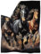 Coloranimal Westliches Aztekenpferd, Sonnenblumen-Überwurf, warme Decke, Navajo, einheimisches Afrika, stilvolle Sherpa-Fleece-Überwurfdecke für Sofa, Schlafzimmer