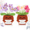 Namalu Dankeschön Geschenk 2er Set Häkel Blumentopf Puppen mit Karte „Danke für Alles“ - Mini Positive Gehäkelte Blumen Geschenk für Lehrer & Kollegen zum Abschied, Geburtstag & Abschluss