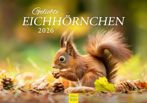 Edition Seidel Premium Kalender Geliebte Eichhörnchen 2026 Format DIN A3 Wandkalender Tierkalender Wildtiere heimische Wald Tiere Christian Müringer