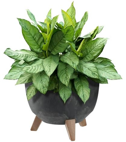 KADAX Pot de Fleurs en Plastique sur Trois Pieds, Effet Bois Élégant pour Sublimer la Décoration de Votre Maison et Jardin, Intérieur et Extérieur (Noir, 29 cm)