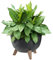 KADAX Blumentopf aus Kunststoff mit DREI Einsteckstützen, runde Blumenschale, Pflanzkübel, Blumenkübel, Pflanzschale für Balkon, Wohnzimmer (Schwarz, ⌀ 29cm)