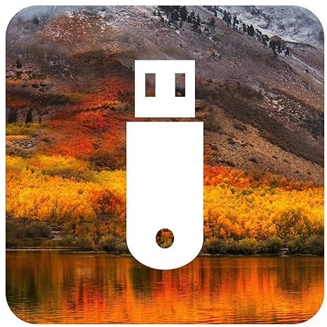 D-S Systems Installation-Bootstick kompatibel mit MacOS 10.13 High Sierra OS X Bootfähiger Bootable USB für Installation / Update / Downgrade
