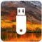 D-S Systems Installation-Bootstick kompatibel mit MacOS 10.13 High Sierra OS X Bootfähiger Bootable USB für Installation / Update / Downgrade