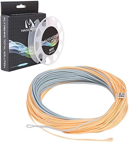Maximumcatch Fliegenfischen Schnur mit Schlaufen, schwimmende Fliegenschnur 30,5m lang, WF3F/4F/5F/6F/7F/8F, sechs Farbe (WF6F, Hellbeige&Powerblau)