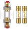 VEXUNGA AGU Sicherungshalter 20A Vergoldet Glassicherung Inline für Auto Audio Power Schutz Mit 2 Stück 20 Ampere AGU Sicherung Glasrohr