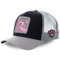 Pinks Panthers Baseballkappe, Mütze, Anime, Snapback-Kappe, Hip-Hop, flach, verstellbar, Stickerei, mehrfarbig, Einheitsgröße