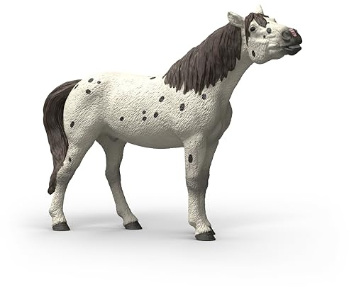 schleich Horse Club | Knabstrupper Wallach 14916 | 15 x 4 x 11 cm | Spielfigur ab 6 Jahren | detailgetreues Pferd | Deko oder Sammelfigur | Geschenk für Mädchen und Jungen