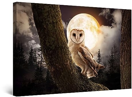 Startonight Bilder - Eule und der Mond - Leinwandbilder Moderne Kunst, Wanddeko Kunstdrucke, Wandbilder Schlafzimmer 60 x 90 cm, Tag Nacht Effekt, Elegante Geschenkidee Wand Deko