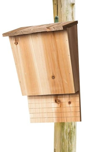 Scatola per pipipistrelli, grande per esterni, per pipistrelli, per pipistrelli, in legno, con supporti
