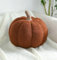 Bettschlange Kürbis Kissen, 3D Kürbis Deko, Halloween Plüsch Kürbis Kissen Gemütliche Herbst Gefüllte Zierkissen für Erntedankfest Weihnachten Schlafzimmer, Stuffed Plush, Braun, 20cm
