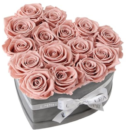EG EMMIE GRAY Classic Infinity Rosenbox | Herz | Grau - Größe M mit 16 ± 2 Infinity Rosen - bis zu 3 Jahre haltbar, Flowerbox aus Samt mit konservierten Rosen, Blumenbox (Antique Pink)