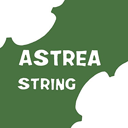 Astrea 141110 VIOLIN 3/4-4/4 SET