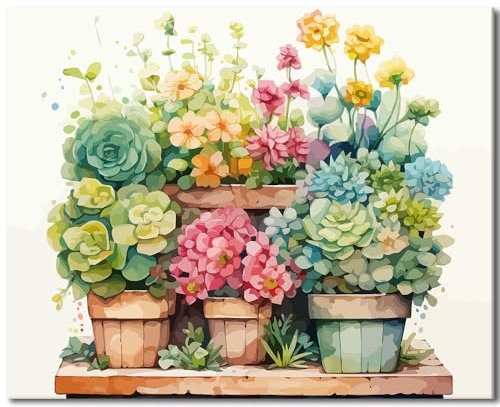 TISHIRON Paint by Number for Adults, Green Plant Flowerpot Paint by Numbers Kits for Adlts Beginners, Without Frame DIY Succulent Plants Oil Painting for Home Wall Decoration 16x20 Inch