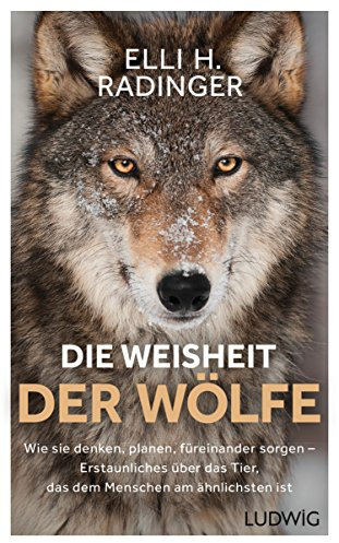 Die Weisheit der Wölfe: Wie sie denken, planen, füreinander sorgen. Erstaunliches über das Tier, das dem Menschen am ähnlichsten ist