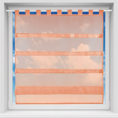 Bistrogardine in transparent mit Raffoptik, einfarbige und lichtdurchlässige Voile-Scheibengardine mit Schlaufe, in vielen Größen verfügbar (100 x 110 cm/apricot - lachs)