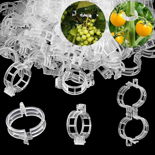 Wopanxye 100 Stück Pflanzenclips, Tomatenclips Verbinden, Kunststoff garten Pflanzenklammern, Ranken Clips, Tomatenclips Verbinden Pfeffer Gurke Reben Ideal für blumen obstbäume orchideen Sicherung