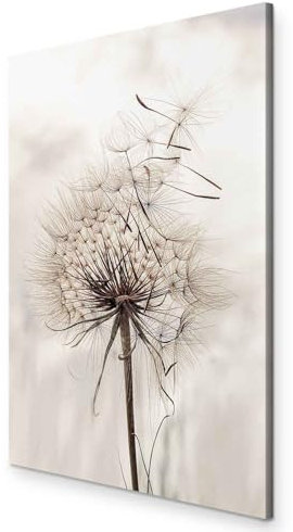 murando - Wandbilder Pusteblume 40x60 cm Vlies Leinwandbild 1 TLG Kunstdruck modern Wandbilder Wanddekoration Design Wand Bild - Pflanzenmotiv Blumen Natur b-B-0549-b-a