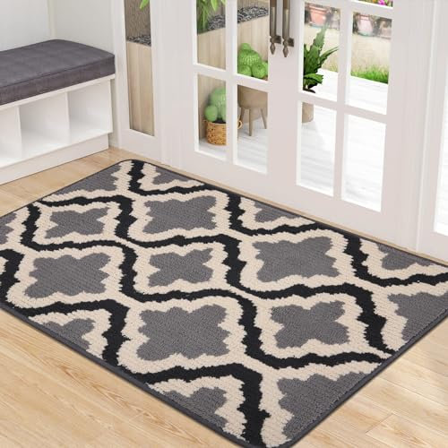 Homaxy Door Mats Indoor, Non-slip Soft Machine Washable Doormats, Dirt Trapper Mat Entrance Rug, Super Absorbent Floor Mats for Front Back Door, Entryway, Pets and Dogs (80 x 120 cm, Grey)