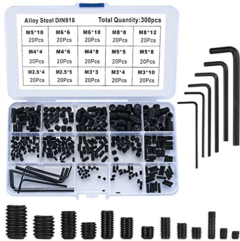 300 Stück Madenschrauben, Einschraubmuffen Schrauben Sortiment Kit, M2.5/M3/M4/M5/M6/M8 Sechskantschrauben Alloy Kohlenstoffstahl mit Inbusschlüssel - Schwarz